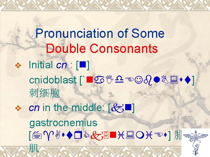 Pronunciation of Some Double Consonants v v Initial cn : [n] cnidoblast [`na. I