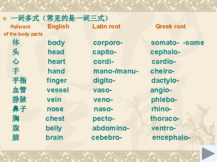 v 一词多式（常见的是一词三式） Referent English Latin root Greek root of the body parts 体 头