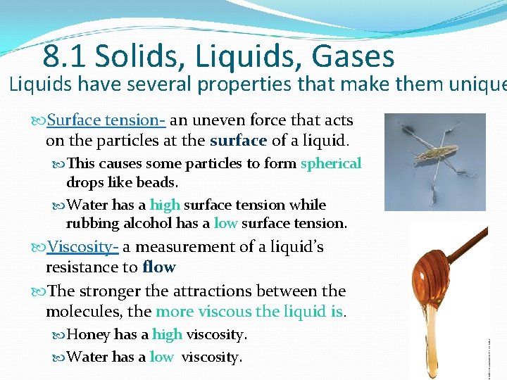 8. 1 Solids, Liquids, Gases Liquids have several properties that make them unique Surface