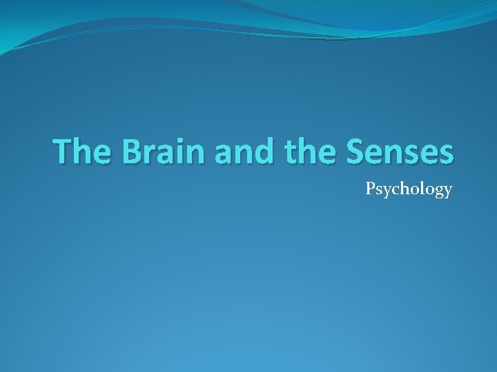 The Brain and the Senses Psychology 