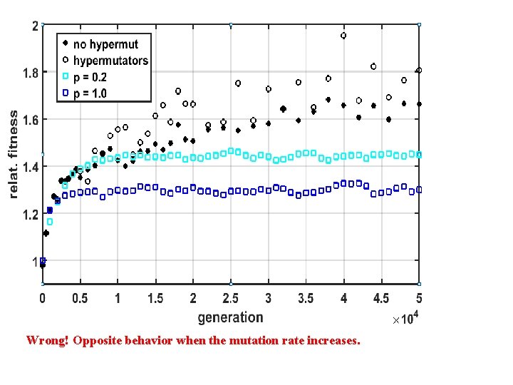 × 104 generations Wrong! Opposite behavior when the mutation rate increases. 
