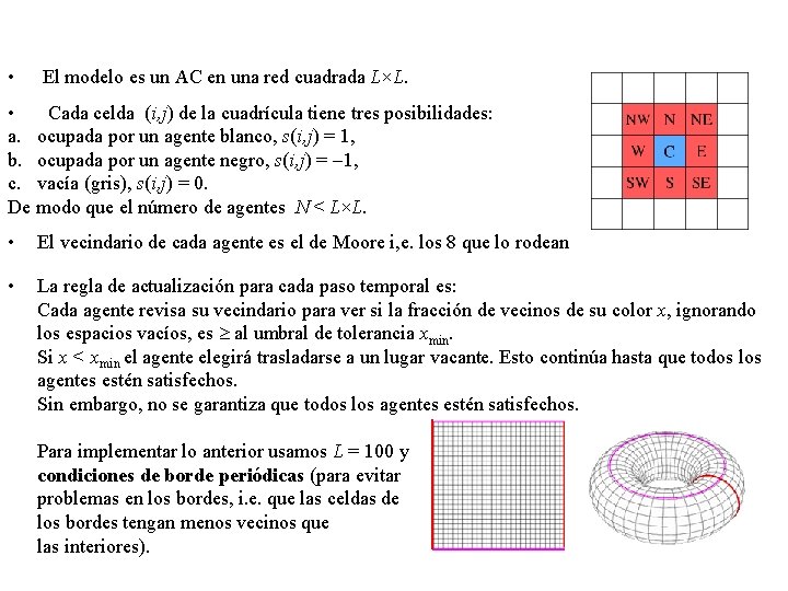  • El modelo es un AC en una red cuadrada L×L. • Cada