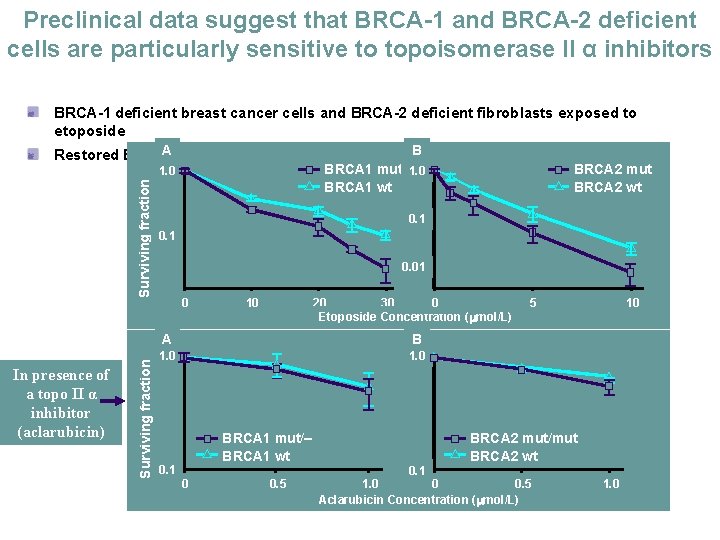 Preclinical data suggest that BRCA-1 and BRCA-2 deficient cells are particularly sensitive to topoisomerase