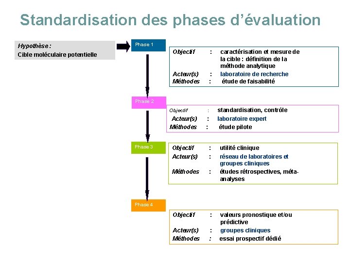 Standardisation des phases d’évaluation Hypothèse : Cible moléculaire potentielle Phase 1 Objectif : Acteur(s)