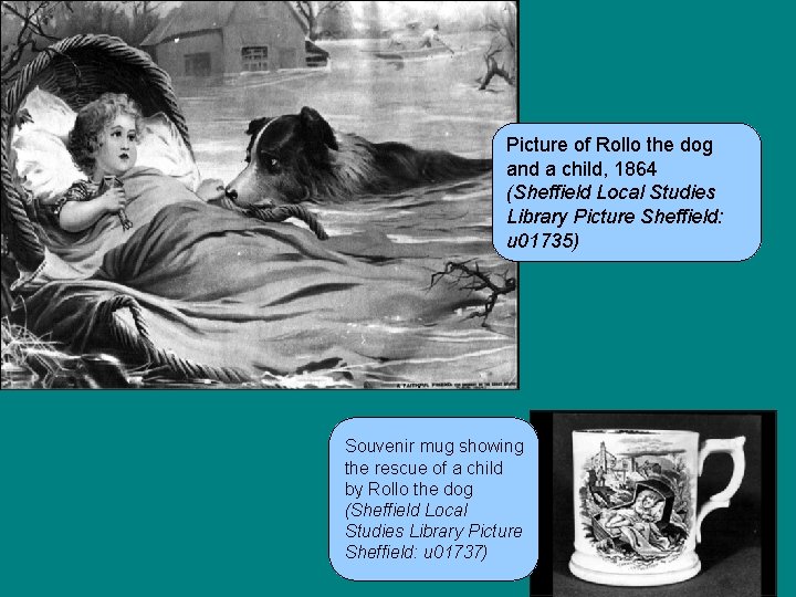 Picture of Rollo the dog and a child, 1864 (Sheffield Local Studies Library Picture