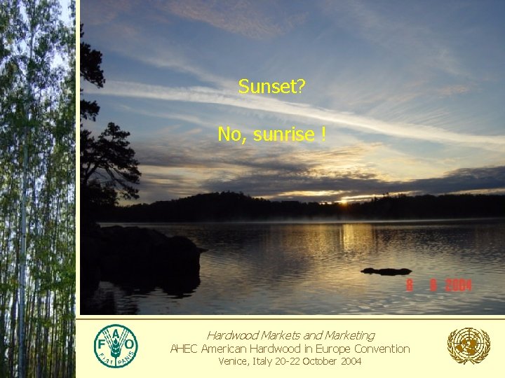 Sunset? No, sunrise ! Hardwood Markets and Marketing AHEC American Hardwood in Europe Convention