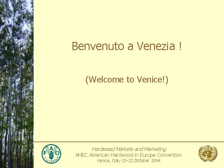 Benvenuto a Venezia ! (Welcome to Venice!) Hardwood Markets and Marketing AHEC American Hardwood