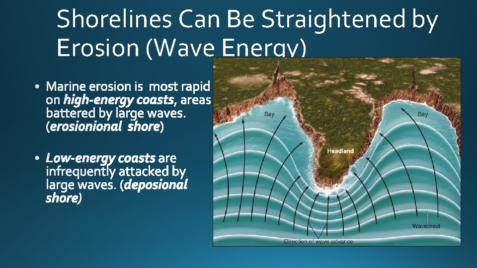 Shorelines Can Be Straightened by Erosion (Wave Energy) 
