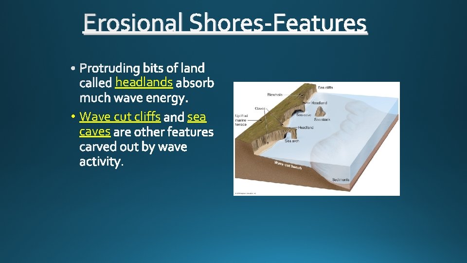 Erosional Shores-Features headlands • Wave cut cliffs caves sea 
