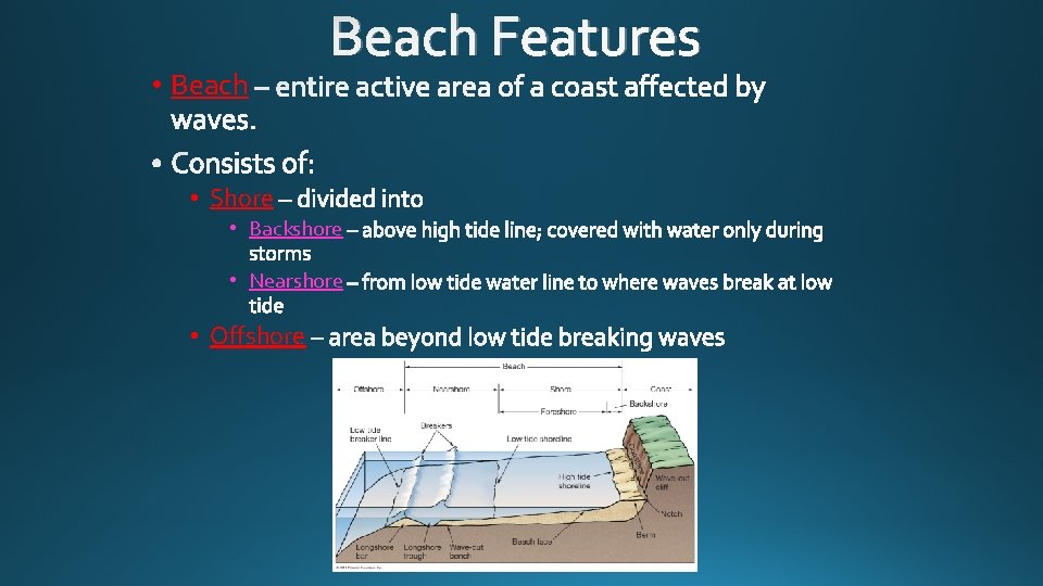  • Beach Features • Shore • Backshore • Nearshore • Offshore 