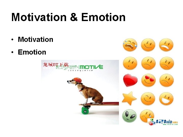 Motivation & Emotion • Motivation • Emotion 