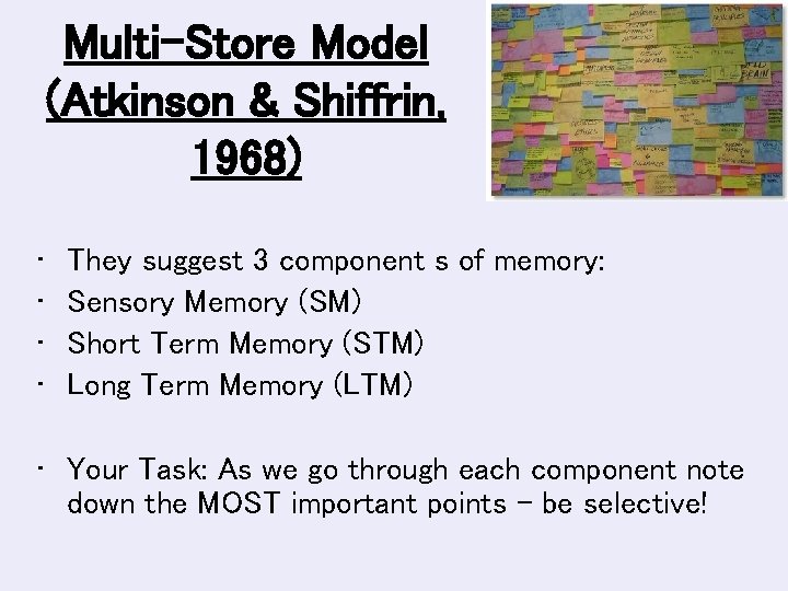 Multi-Store Model (Atkinson & Shiffrin, 1968) • • They suggest 3 component s of