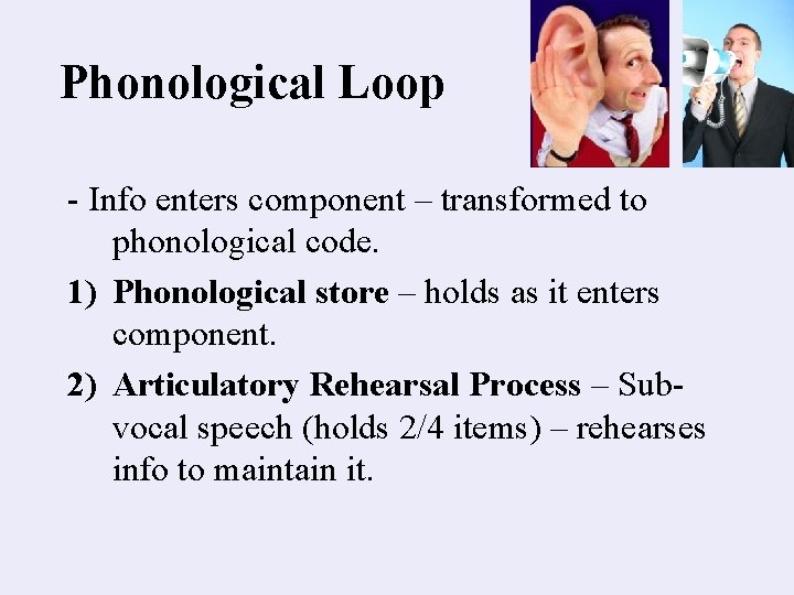 Phonological Loop - Info enters component – transformed to phonological code. 1) Phonological store