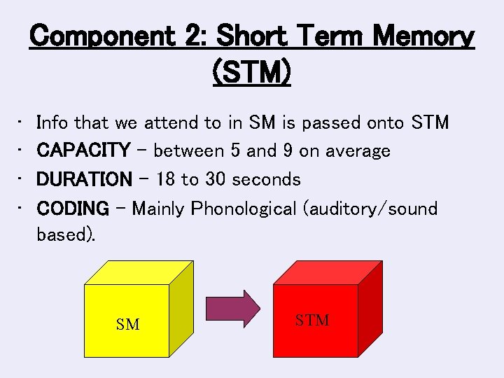 Component 2: Short Term Memory (STM) • • Info that we attend to in