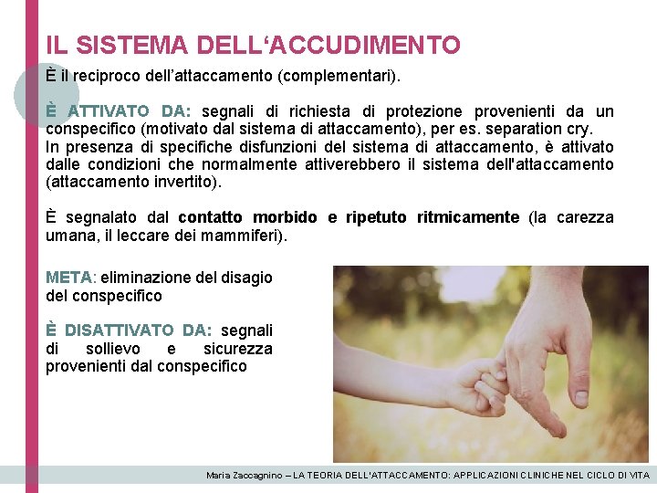 IL SISTEMA DELL‘ACCUDIMENTO È il reciproco dell’attaccamento (complementari). È ATTIVATO DA: segnali di richiesta