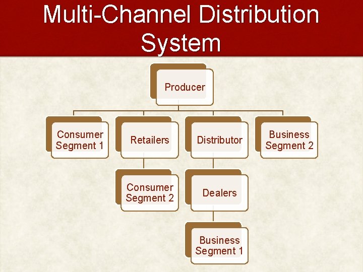 Multi-Channel Distribution System Producer Consumer Segment 1 Retailers Distributor Consumer Segment 2 Dealers Business