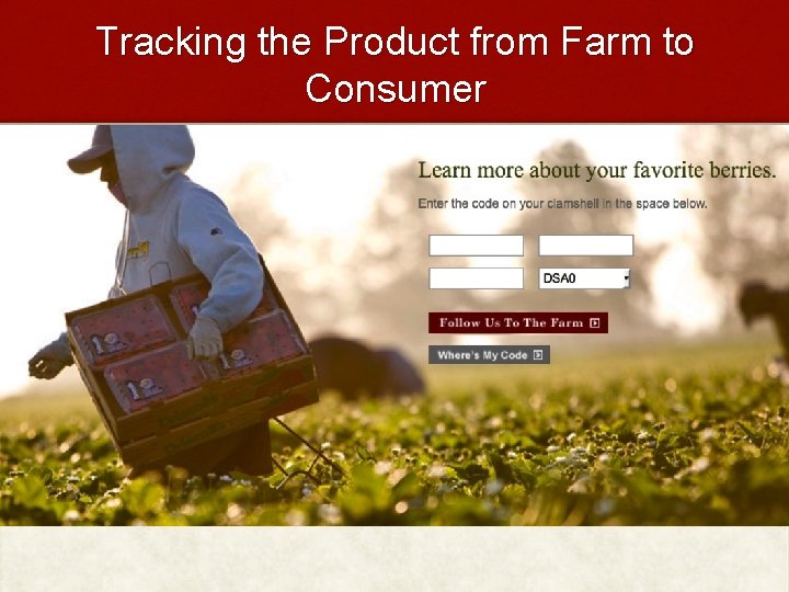 Tracking the Product from Farm to Consumer 