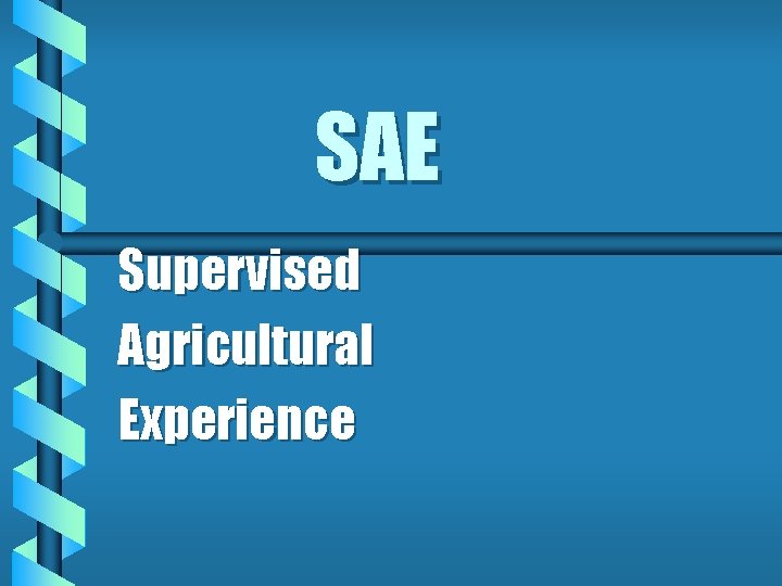 SAE Supervised Agricultural Experience 