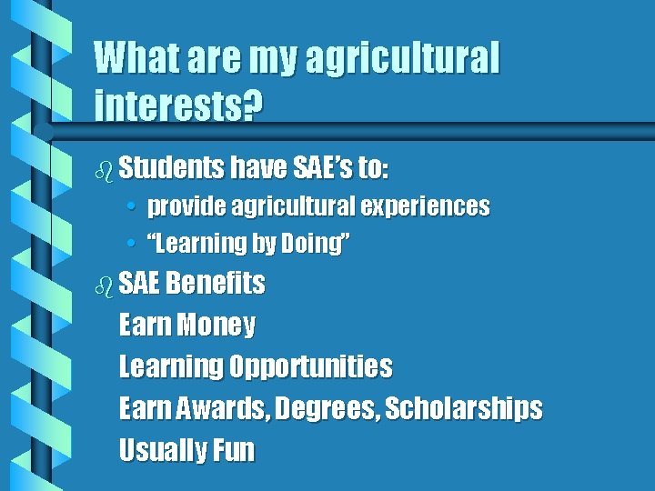 What are my agricultural interests? b Students have SAE’s to: • provide agricultural experiences