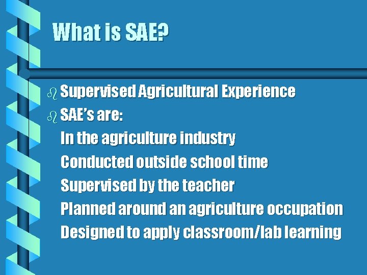 What is SAE? b Supervised Agricultural Experience b SAE’s are: In the agriculture industry