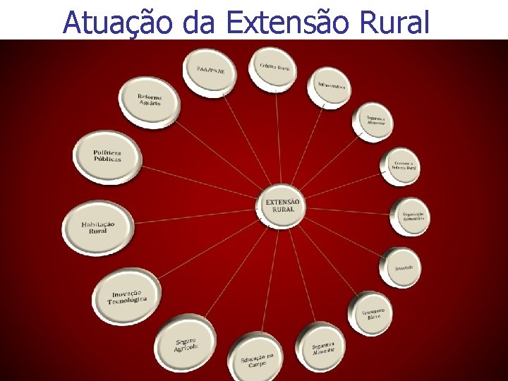 Atuação da Extensão Rural 