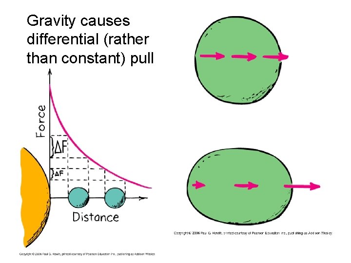 Gravity causes differential (rather than constant) pull 