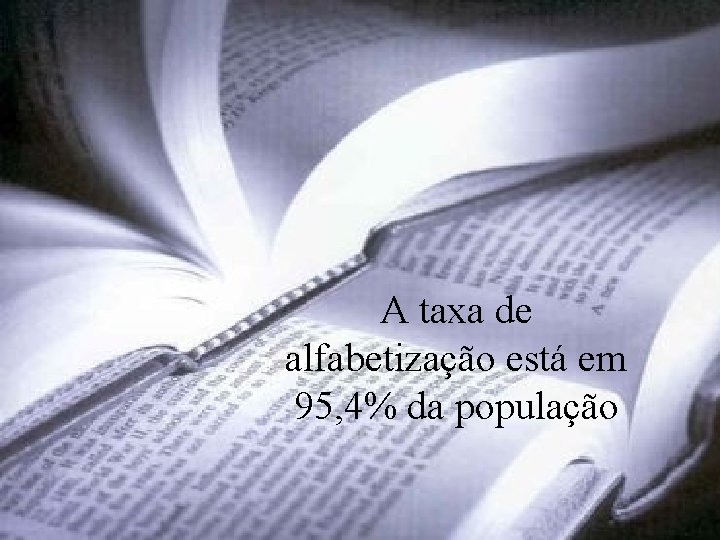 A taxa de alfabetização está em 95, 4% da população Levantamento Preparado por Harold