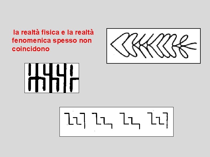 la realtà fisica e la realtà fenomenica spesso non coincidono 