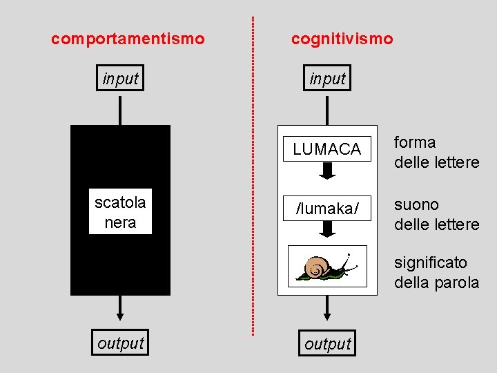 comportamentismo input scatola nera cognitivismo input LUMACA forma delle lettere /lumaka/ suono delle lettere