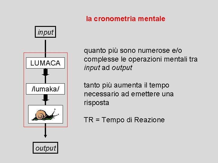 la cronometria mentale input LUMACA /lumaka/ quanto più sono numerose e/o complesse le operazioni