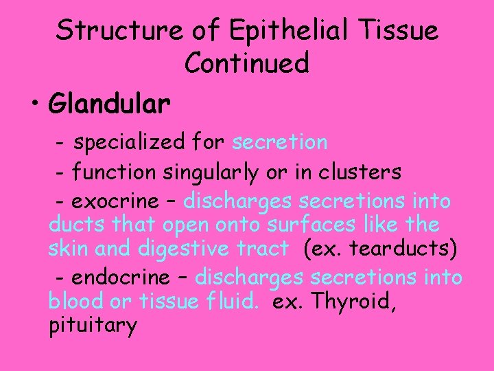 Structure of Epithelial Tissue Continued • Glandular - specialized for secretion - function singularly