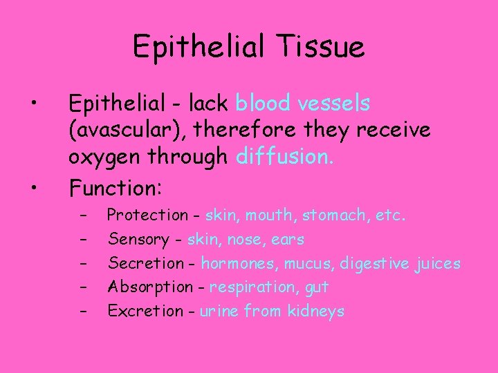 Epithelial Tissue • • Epithelial - lack blood vessels (avascular), therefore they receive oxygen