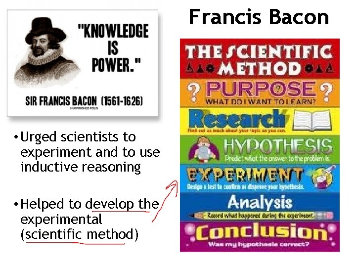 Francis Bacon • Urged scientists to experiment and to use inductive reasoning • Helped