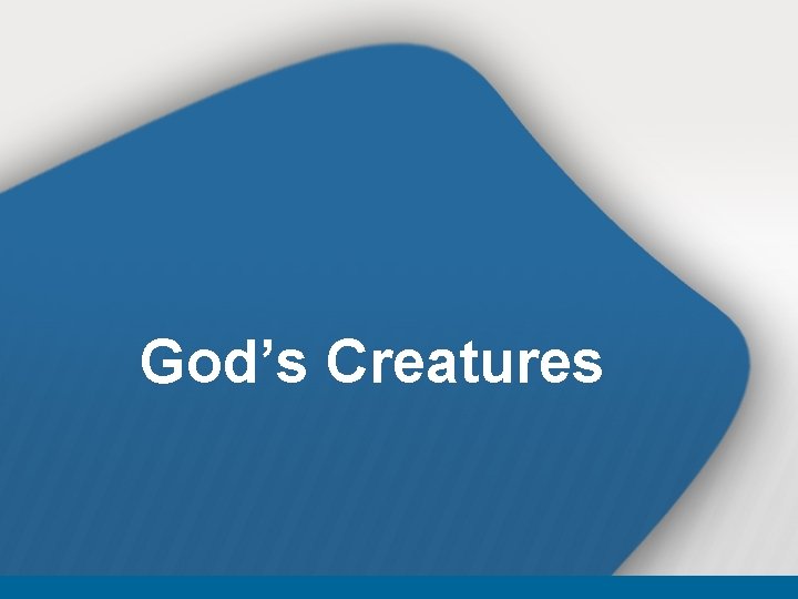 God’s Creatures 