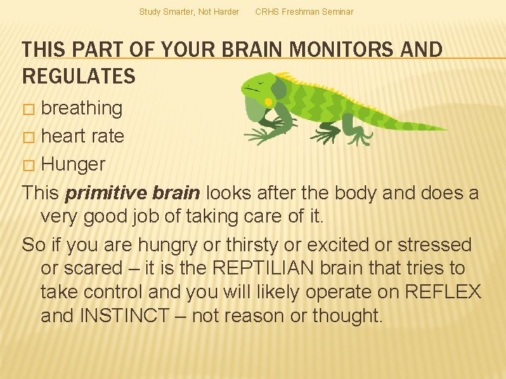 Study Smarter, Not Harder CRHS Freshman Seminar THIS PART OF YOUR BRAIN MONITORS AND