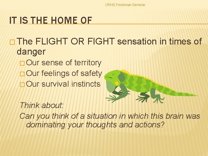 CRHS Freshman Seminar IT IS THE HOME OF � The FLIGHT OR FIGHT sensation