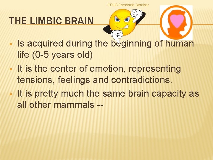 CRHS Freshman Seminar THE LIMBIC BRAIN § § § Is acquired during the beginning