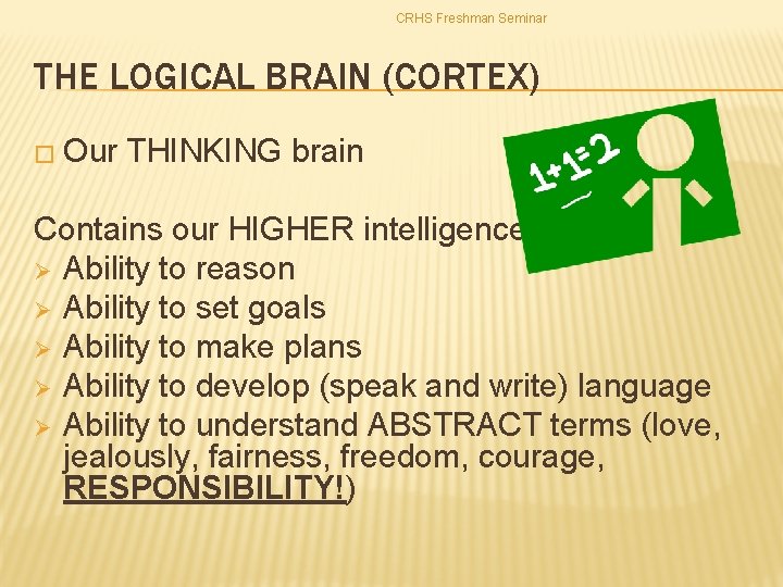 CRHS Freshman Seminar THE LOGICAL BRAIN (CORTEX) � Our THINKING brain Contains our HIGHER