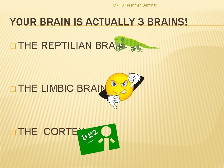 CRHS Freshman Seminar YOUR BRAIN IS ACTUALLY 3 BRAINS! � THE REPTILIAN BRAIN �
