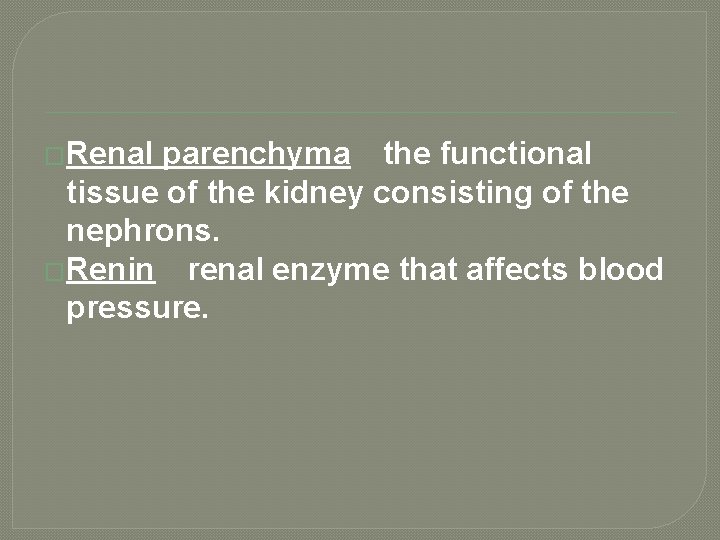 �Renal parenchyma the functional tissue of the kidney consisting of the nephrons. �Renin renal