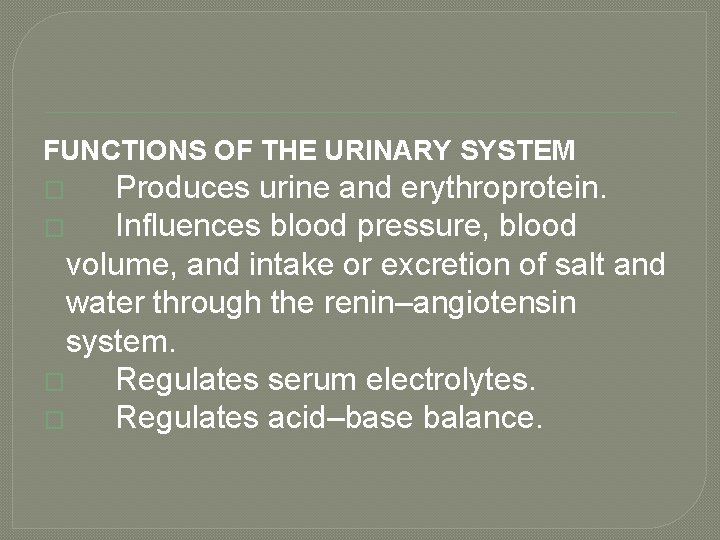 FUNCTIONS OF THE URINARY SYSTEM Produces urine and erythroprotein. � Influences blood pressure, blood