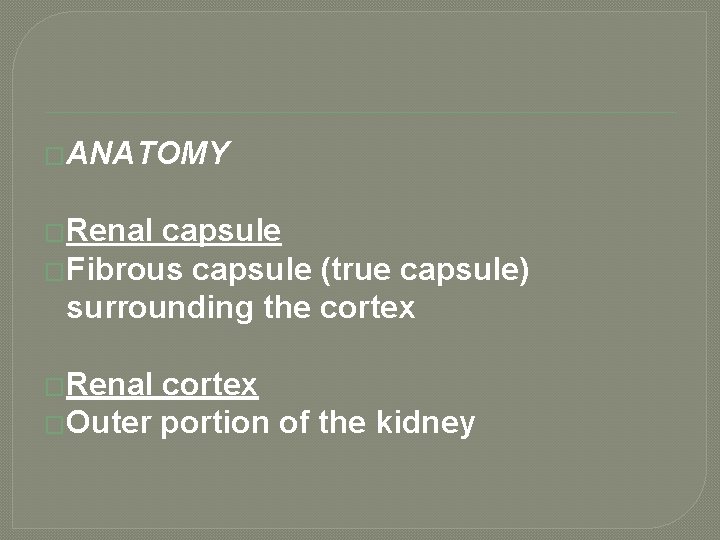 �ANATOMY �Renal capsule �Fibrous capsule (true capsule) surrounding the cortex �Renal cortex �Outer portion