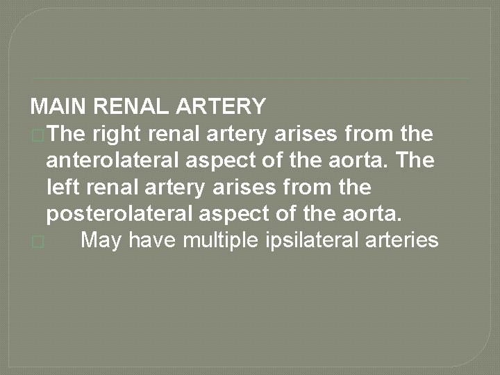 MAIN RENAL ARTERY �The right renal artery arises from the anterolateral aspect of the