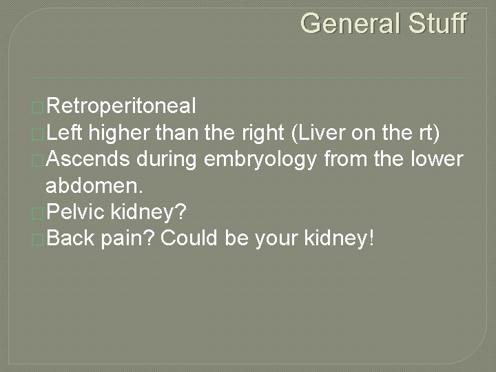 General Stuff �Retroperitoneal �Left higher than the right (Liver on the rt) �Ascends during