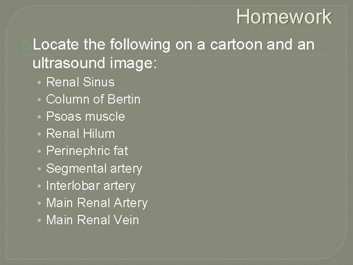 Homework �Locate the following on a cartoon and an ultrasound image: • • •