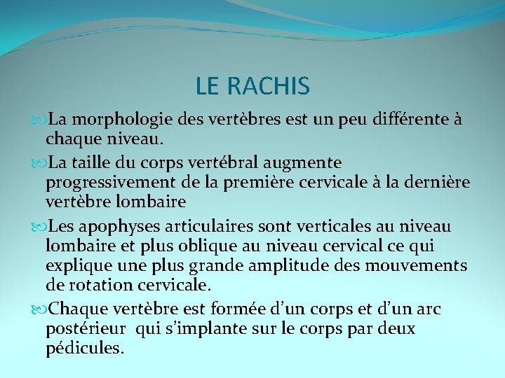 LE RACHIS La morphologie des vertèbres est un peu différente à chaque niveau. La