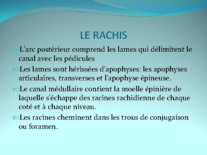 LE RACHIS L’arc postérieur comprend les lames qui délimitent le canal avec les pédicules