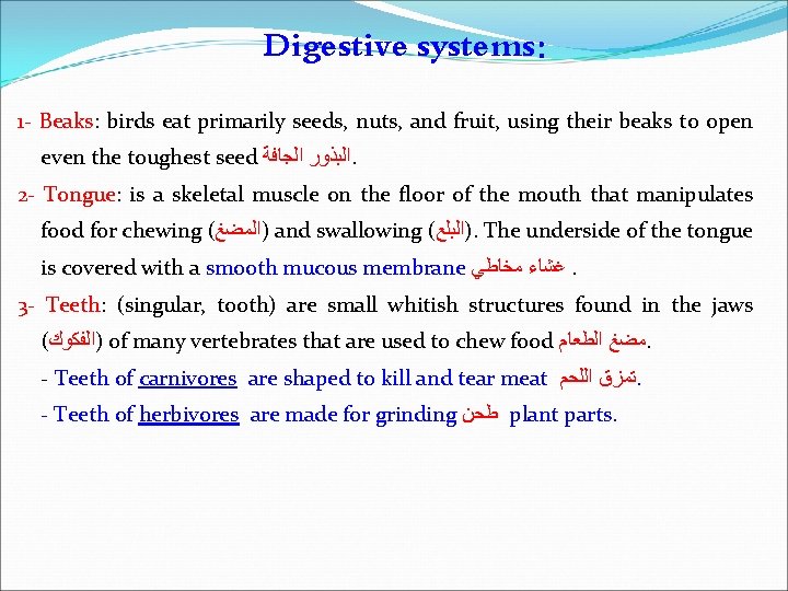 Digestive systems: 1 - Beaks: birds eat primarily seeds, nuts, and fruit, using their