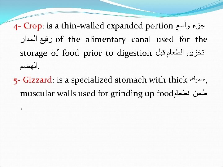 4 - Crop: is a thin-walled expanded portion ﺟﺰﺀ ﻭﺍﺳﻊ ﺭﻓﻴﻊ ﺍﻟﺠﺪﺍﺭ of the
