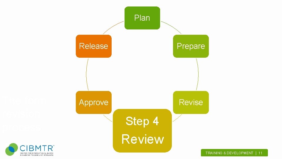 Plan The form revision process Release Prepare Approve Revise Step 4 Review TRAINING &